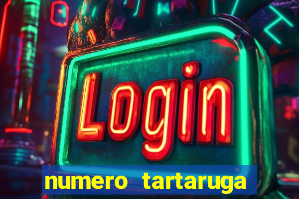 numero tartaruga jogo do bicho